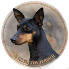 saxun Matrica autóra Angol Toy Terrier - English Toy Terrier (Black and Tan) 