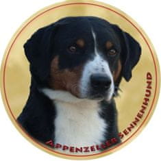 saxun Matrica autóra Appenzelli havasi pásztorkutya - Appenzell Cattle Dog
