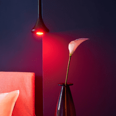 Shelly Home Plug & Play Beleuchtung "Duo RGBW GU10" WLAN LED Lampe (DUO GU10 RGBW)