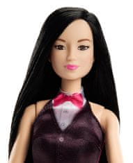 Mattel Barbie első foglalkozása - Hegedűművész, DVF50