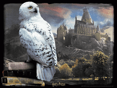 Prime 3D puzzle Harry Potter: Hedwig 3D 300 darab