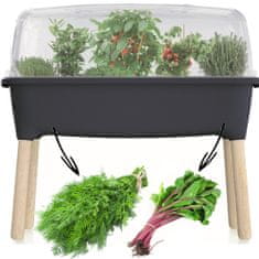 botle Mini üvegházi cserepes ültetőgép antracit 77 x 75,5 cm növényes doboz virágláda tetővel emelt ágyás virágcserép zöldségtermesztés kertészet palánta friss városi kert kert a házban