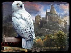 Prime 3D puzzle Harry Potter: Hedwig 3D 500 darab