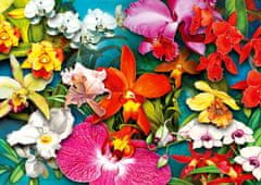 ENJOY Orchidea dzsungel puzzle 1000 darab