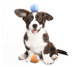 BOT  Mini Ball interaktív labda kutyáknak narancssárga SE 56mm