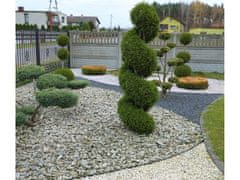 sarcia.eu Zöld kerti szegély + horgonyok 20 méter + 60 horgony