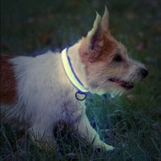 HARLEY® Világító nyakörv kutyáknak, nagy méretű kutya nyakörv, tölthető fényes kutyanyakörv, ideális bármely kutya pórázhoz | PETSHINE