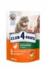 Club4Paws Premium nedves macskaeledel - Kacsa mártásban 24x100g