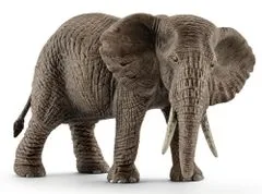 Schleich Afrikai elefánt nőstény 14761