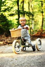 TryBike Pedál nélküli gyerekkerékpár szürke
