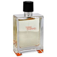Hermès Terre D´ Hermes - EDT - TESZTER 100 ml