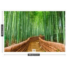 tulup.hu Fotótapéta bambusz erdő Vlies tapéta 104x70 cm