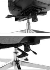 STEMA Forgó ergonomikus irodai szék ZN-805-C, alumínium talp, szinkron mechanizmus, állítható ülés (elöl - hátul) és háttámlája (fel - le), bézs