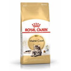 Royal Canin FBN MAINE COON 10Kg -táplálék a Maine coon macskának