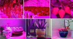 Gardlov Malatec 16348 LED lámpa növények termesztéséhez klipszel GROW 9,5 W