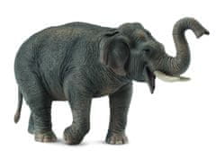 COLLECTA ázsiai elefánt