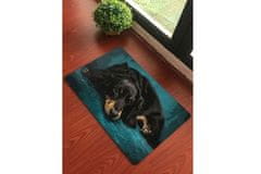 ZOO MIX Csúszásgátló szőnyeg Kutya 40x60 cm - Tacskó 