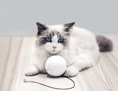 MXM Intelligens lufi HomeRunPet macskáknak / kutyáknak