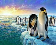 Festmény számok szerint - Pingvinek a jégen 40 x 50 cm (kerettel)