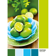 Clementoni Pantone Lime puncs puzzle 1000db-os (39492) (c39492)