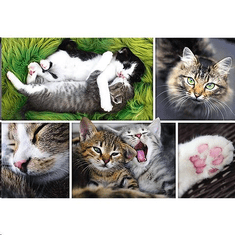 Trefl Csak amolyan macskás dolgok - collage puzzle 1500db-os (26145) (26145)