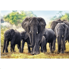 Trefl Afrikai elefántok 1000db-os prémium puzzle (10442) (10442)