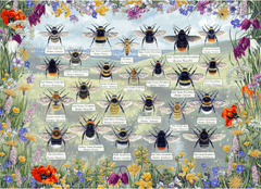 Gibsons Puzzle Briliáns méhek 1000 darabos puzzle