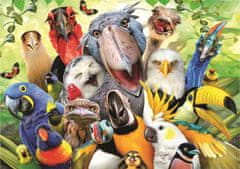 EDUCA Puzzle szelfi: Vigyázz, a madár 500 darabot fog kirepülni