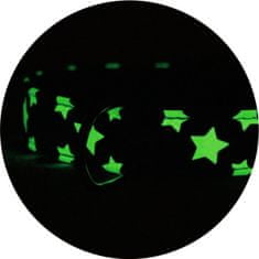 WAUDOG Lapos bőrnyakörv lila fénylő csillagokkal 27-36 cm, szélesség: 15 mm lila