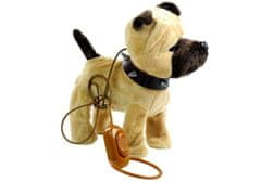 Lean-toys Interaktív kutya pórázon + kennel bézs színben