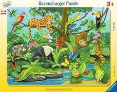 Ravensburger Insert Animals from the rainforest 11 db