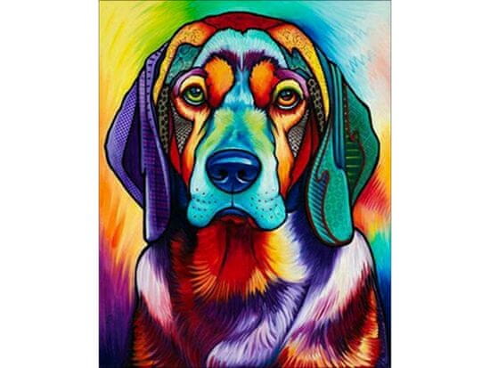 KECJA festmény szám szerint keret 40x50cm kutya színesben