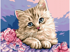 KECJA festmény szám szerint keret 50x40cm aranyos macska