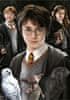 Harry Potter miniatűr puzzle 1000 darab
