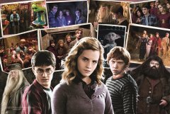 Trefl Rejtvény Harry Potter barátokkal 160 darab