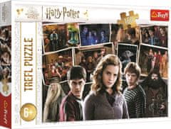 Trefl Rejtvény Harry Potter barátokkal 160 darab