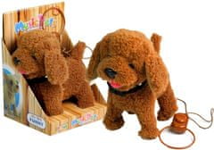 Lean-toys Interaktív kutya Kutya pórázon Barna pudli
