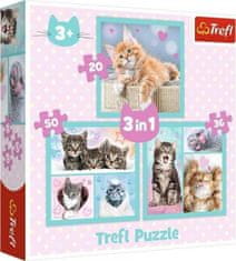 Trefl Puzzle Sweet Kittens/3in1 (20,36,50 darab)