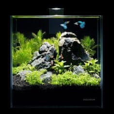 Aqualighter Akvárium - pico készlet 5l