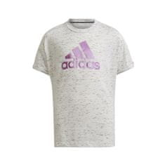 Adidas Póló kiképzés szürke M Future Icons