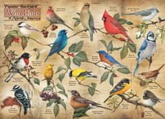 Cobble Hill Puzzle Birds az észak-amerikai kertekből 1000 db