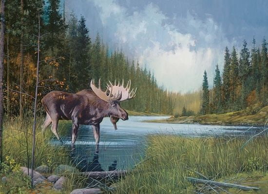 Cobble Hill Puzzle Moose by the Lake 1000 db