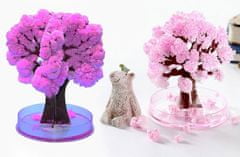 CoolCeny Varázslatos virágzó- Sakura fa