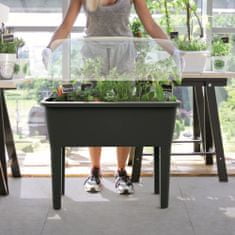 botle Mini üvegházi cserepes ültetőgép antracit antracit 77x82cm növényes doboz virágláda tetővel emelt ágyás virágcserép zöldségtermesztés kertészet palánta friss városi kert kert a házban