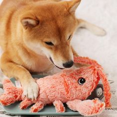 HARLEY® Mozgásérzékelős kutya játék, homár alakú plüss játék, interaktív játék kutyáknak és macskáknak | LOBSTY