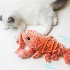 Mozgásérzékelős kutya játék, homár alakú plüss játék, interaktív játék kutyáknak és macskáknak | LOBSTY
