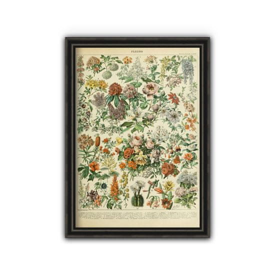 Vintage Posteria Retro poszterek Adolphe Millot Flowers A1 - 59,4x84,1 cm