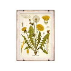 Vintage Posteria Retro poszterek Tejes botanika A4 - 21x29,7 cm