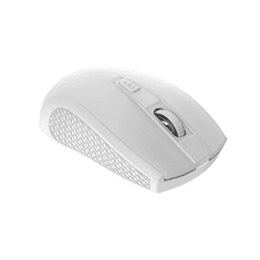 Canyon MW-7, 2.4Ghz wireless mouse, 6 buttons, DPI 800/1200/1600, with 1 AA battery ,size 110*60*37mm,58g,white (CNE-CMSW07W)
