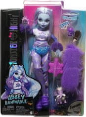 Monster High Szörnybaba - Abbey HPD53